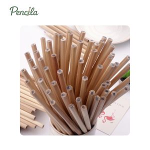 Bút Chì Gỗ 2B Deli- Than Mềm Đậm Cao Cấp - Thích Hợp Cho Học Sinh, Văn Phòng Ghi Chép Tập Viết Vẽ